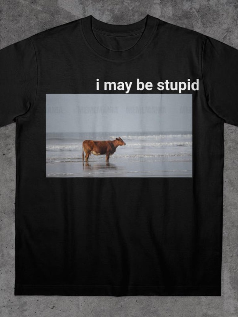 I May Be Stpid Cow On Beach Funny T-Shirt